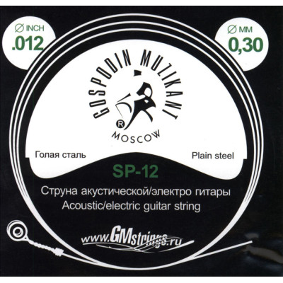 SP-12 Отдельная струна, 0,012, сталь ФРГ, Господин Музыкант