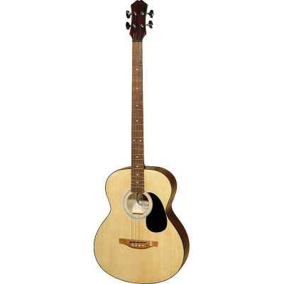 J10404 Электро-акустическая бас-гитара, Hora