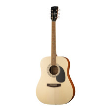 W81E-WBAG-OP Электро-акустическая гитара, с чехлом. Parkwood