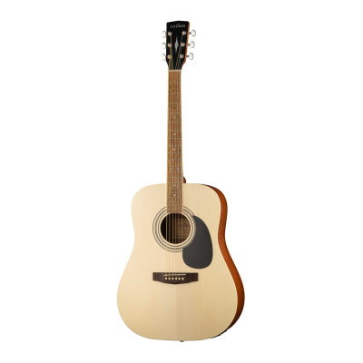 W81E-WBAG-OP Электро-акустическая гитара, с чехлом. Parkwood