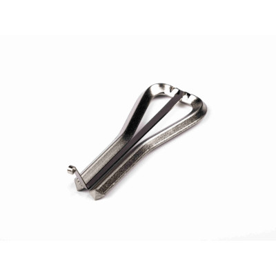 VR-5 Татарский кубыз Мустафина, Мозеръ