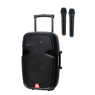 PR-15HR Акустическая система с 2 микрофонами, аккумуляторная, 100Вт, Leem