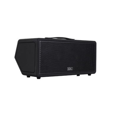 K100-Soundking Комбоусилитель гитарный, портативный, 100Вт, черный, Soundking