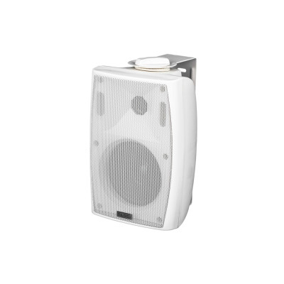 DS-541K Громкоговоритель настенный, 15Вт, TADS