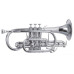 Roy Benson СR-302S Bb корнет