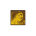 Струны для скрипки PIRASTRO Evah Pirazzi Gold 415021 Струны для скрипки PIRASTRO Evah Pirazzi Gold 415021