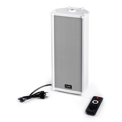 DS-20E-A Акустическая система активная, 20 Вт, Bluetooth, TADS