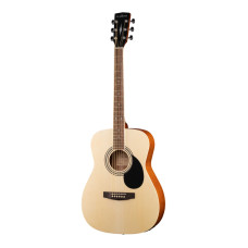 PF51E-WBAG-OP Электро-акустическая гитара, с чехлом, Parkwood 