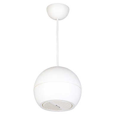 DSP107W Потолочный громкоговоритель, подвесной, 15Вт, DSPPA