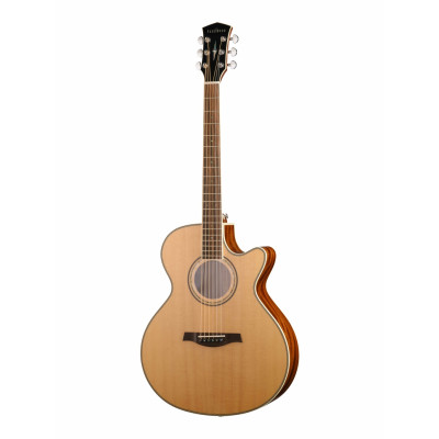 P670-WCASE-NAT Электро-акустическая гитара, с вырезом, с футляром, Parkwood