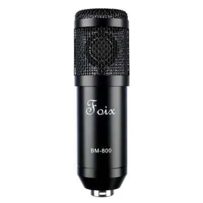 BM800 Микрофон, Foix