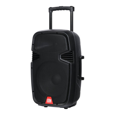 PR-12HR Акустическая система с 2 микрофонами, аккумуляторная, 120Вт, Leem