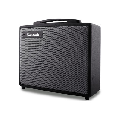 GA-G10 Комбоусилитель гитарный, 10Вт, Sunsmile
