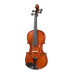 AW-V044 Workshop Gems 1 Скрипка 4/4, Gliga