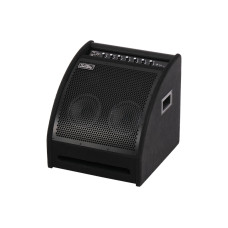 DS200 Монитор для электронной ударной установки, 200Вт, Soundking