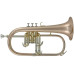 Roy Benson FH-302G Bb флюгельгорн