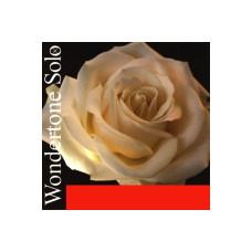 Струны для скрипки PIRASTRO Wondertone Solo 410021