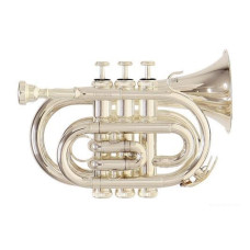 Roy Benson PT-101S Bb карманная труба