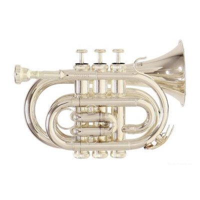 Roy Benson PT-101S Bb карманная труба