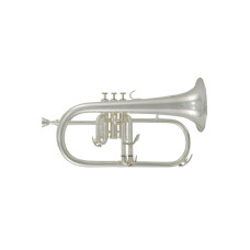Roy Benson FH-302S Bb флюгельгорн