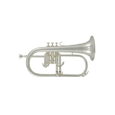 Roy Benson FH-302S Bb флюгельгорн