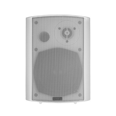 DS-502-WHITE Громкоговоритель настенный, 20Вт, TADS