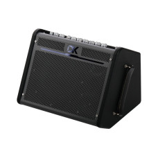 iC-100 Комбоусилитель для акустической гитары, 100Вт, портативный, DK