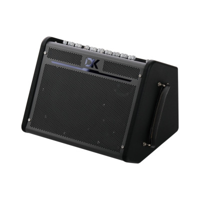 iC-100 Комбоусилитель для акустической гитары, 100Вт, портативный, DK