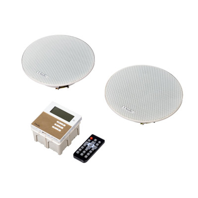 LAMX210SBK Комплект из 2 потолочных громкоговорителей и настенного усилителя, LAudio