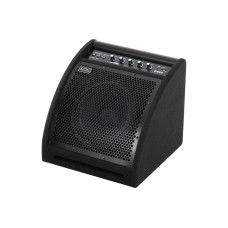 DS50 Монитор для электронной ударной установки, 50Вт, Soundking