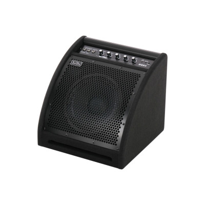 DS50 Монитор для электронной ударной установки, 50Вт, Soundking