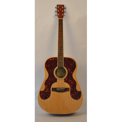 PCG-2 Защитная накладка для акустической гитары, пластик, Мозеръ