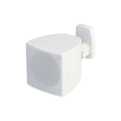 LAW4020W Настенный громкоговоритель, 20Вт, белый, LAudio