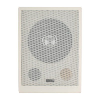 DS-639 Громкоговоритель настенный, 5-10Вт, TADS