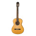 8.896 Green Sustain Flamenco Классическая гитара, Alhambra 8.896 Green Sustain Flamenco Классическая гитара, Alhambra