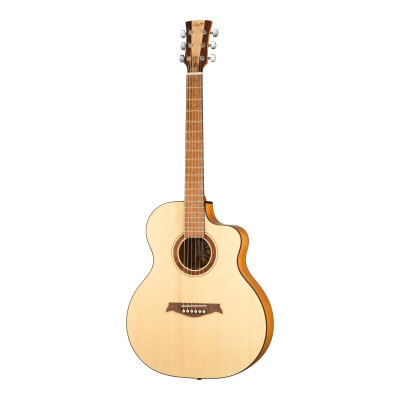 D013A Гитара акустическая, Doff