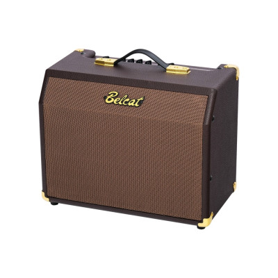 Acoustic-25RC Комбоусилитель для акустической гитары, 25Вт, реверберация и хорус, Belcat