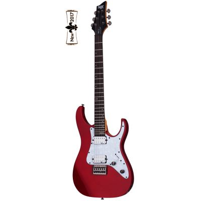 Schecter BANSHEE-6 SGR Гитара электрическая