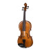 B-V155 Beginer Genial 2 Nitro Альт, Gliga
