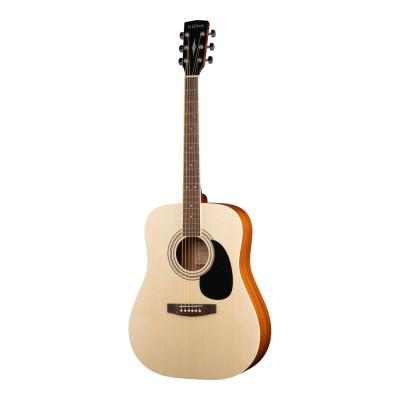 W81-WBAG-OP Акустическая гитара с чехлом, Parkwood