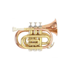 Roy Benson PT-101 G Bb карманная труба