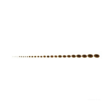 GEWA Pisoni Pads Soprano Sax набор подушечек для сопрано-саксофона