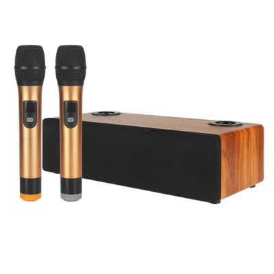 TV32-Gold Акустическая система, активная, 2 беспроводных микрофона, Foix