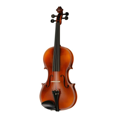 V100-4/4 Student Скрипка студенческая Hora