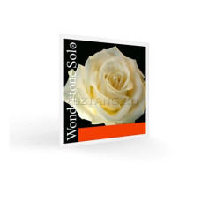 Струны для скрипки PIRASTRO Wondertone Solo 410021