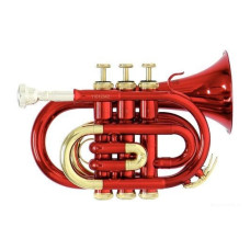 Roy Benson PT-101R Bb карманная труба