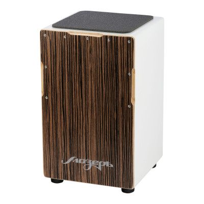 CJTW-2 Кахон, зебрано, 12 струн, Мозеръ