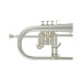 Roy Benson FH-302S Bb флюгельгорн