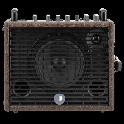 PROTRAVELER6 Комбоусилитель с чехлом, 120Вт, Prodipe