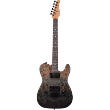 Schecter PT STANDARD BFBB Гитара электрическая, 6 струн цвет Black Fade Burst Burl